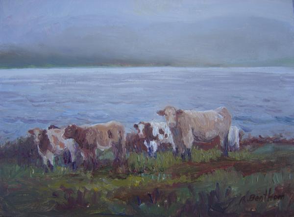 Cows Valentia Island, 6 X 8 (Oil) - Sold
