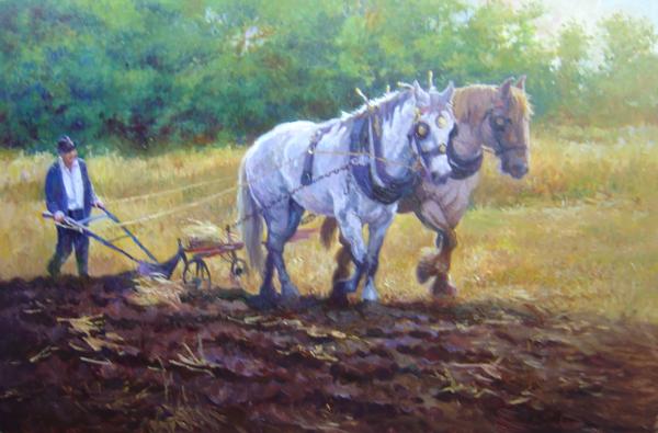 Ploughing, Golden Fields, 20 X 30 (Oil) - Sold