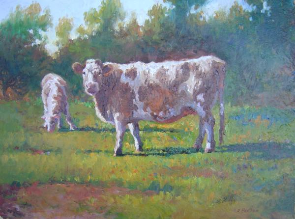 Cows, Summer Pasture, 16 X 20 (Oil) - Sold