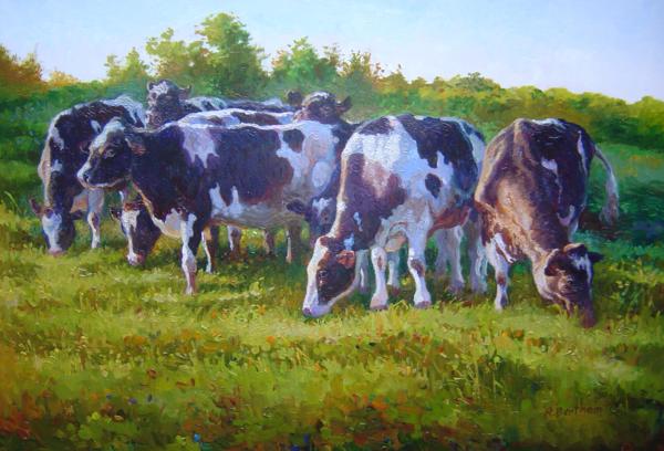 Cows Grazing, 20 X 30 (Oil) - Sold
