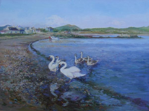 Swans in the Harbour, 16 X 20 (Oil) - Sold