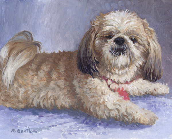 Molly (Commission), 8 X 10 (Oil) - Sold